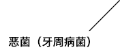 恶