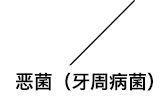 恶