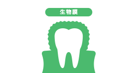 生物膜
