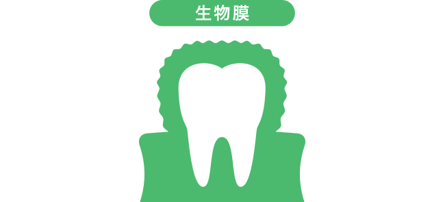 生物膜