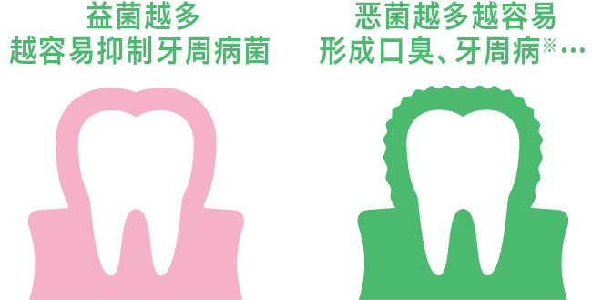 恶菌越多越容易形成口臭、牙周病…
